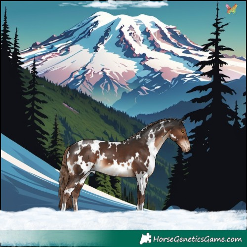 Horse Color:White Spotted Liver Chestnut Varnish 