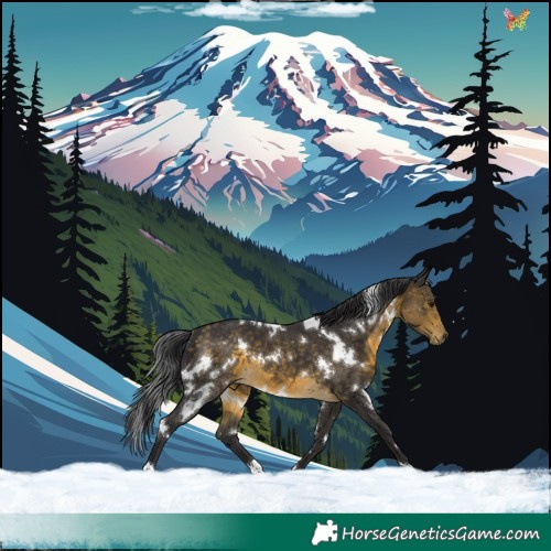 Horse Color:White Spotted Buckskin 