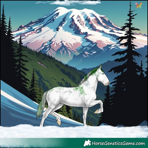 Horse Color:Watercolor White Spotted Bay Ice Onyx Splash 