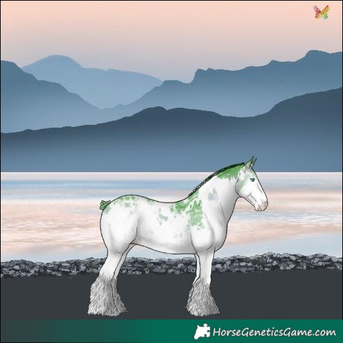 Horse Color:Watercolor White Spotted Bay Ice Onyx Splash 