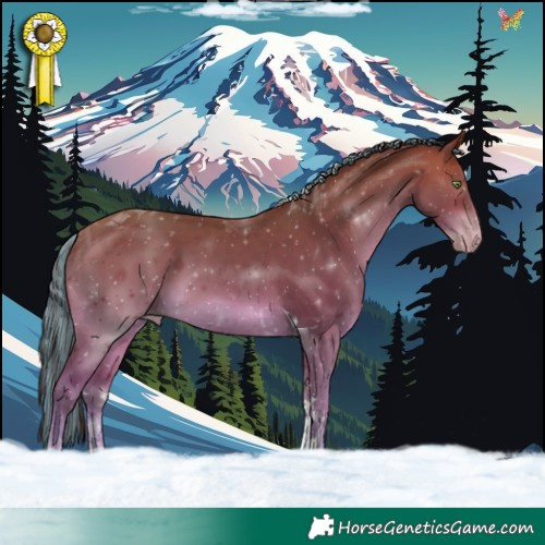 Horse Color:Painted Sable Champagne Tobiano 