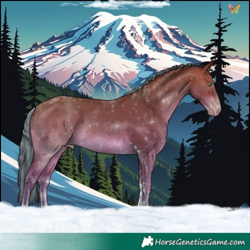 Horse Color:Painted Sable Champagne Tobiano 