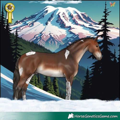 Horse Color:Bay Tobiano 