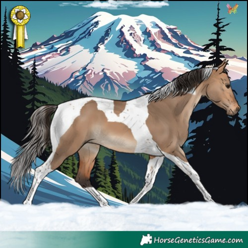 Horse Color:Bay Dun Tobiano 