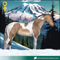 Horse Color:Bay Dun Tobiano