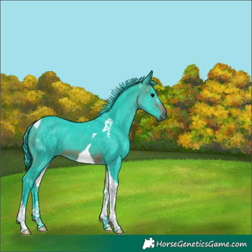 Horse Color:Watercolor Brown Tobiano 