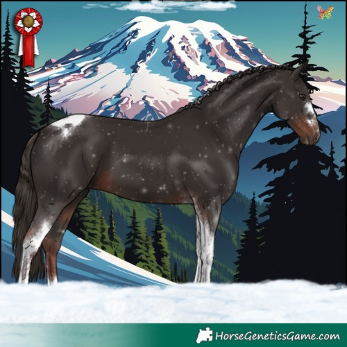 Horse Color:Liver Chestnut Tobiano 