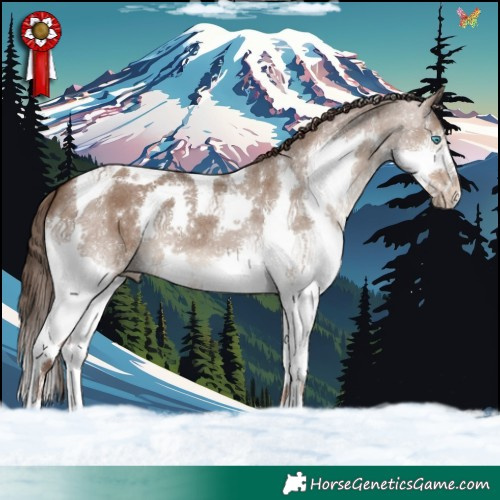 Horse Color:Liver Red Dun Splash Tobiano 