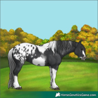 Horse Color:White Spotted Black Splash Tobiano Frame Blanket 