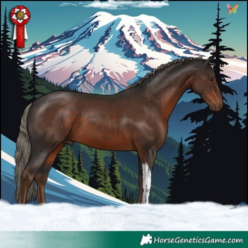 Horse Color:Liver Chestnut Tobiano 