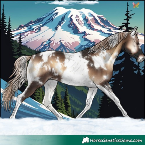 Horse Color:White Spotted Liver Red Onyx Tobiano