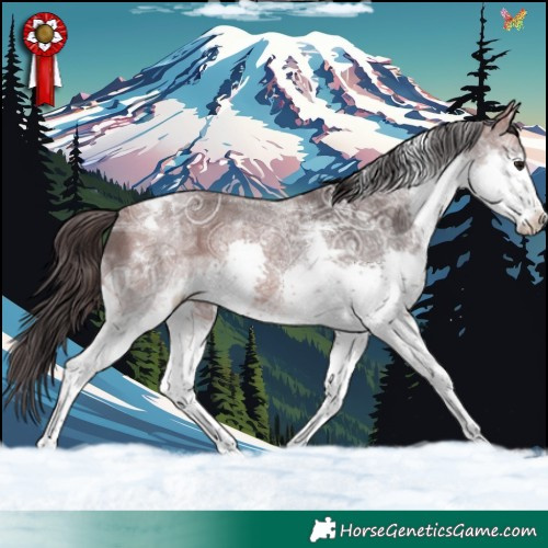 Horse Color:Bay Ice Splash Tobiano