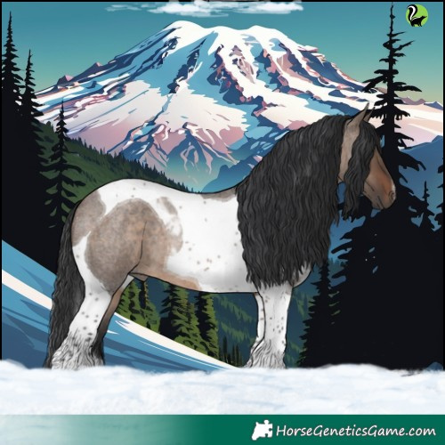 Horse Color:Brown Roan Dun Tobiano