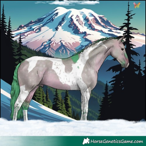 Horse Color:Watercolor Chocolate Brown Dun Tobiano