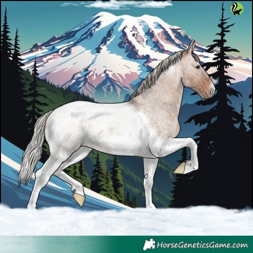 Horse Color:Silver Bay Roan Dun Tobiano