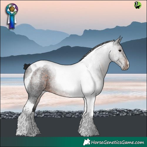 Horse Color:Brown Roan Tobiano 