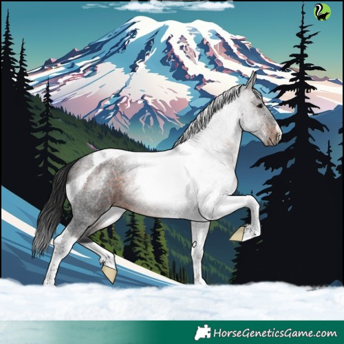 Horse Color:Brown Roan Tobiano 