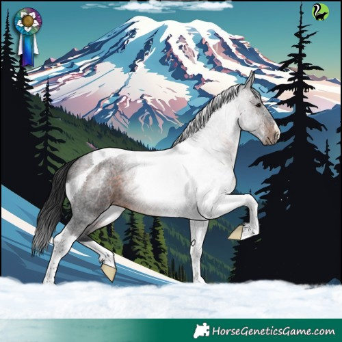Horse Color:Brown Roan Tobiano 