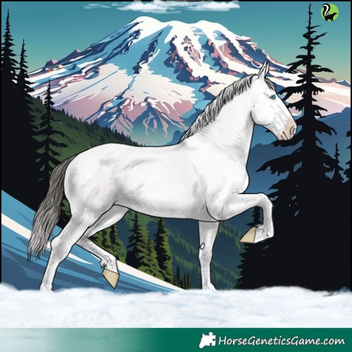 Horse Color:Brown Roan Dun Splash Tobiano Varnish 