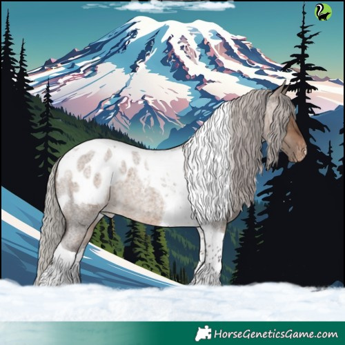 Horse Color:Silver Brown Roan Dun Tobiano Appaloosa 
