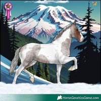 Horse Color:Silver Brown Roan Tobiano