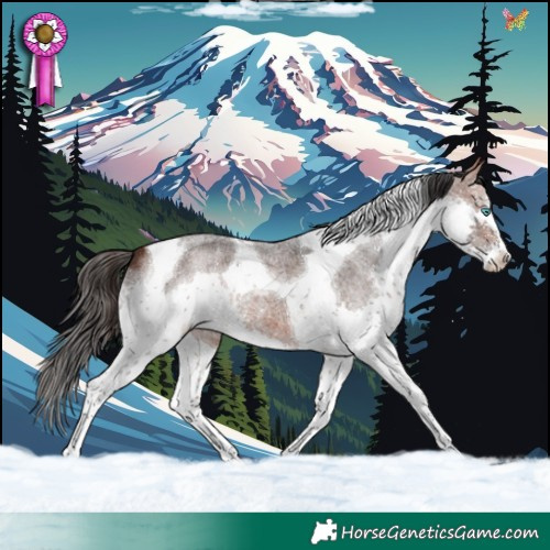 Horse Color:Bay Roan Splash Tobiano
