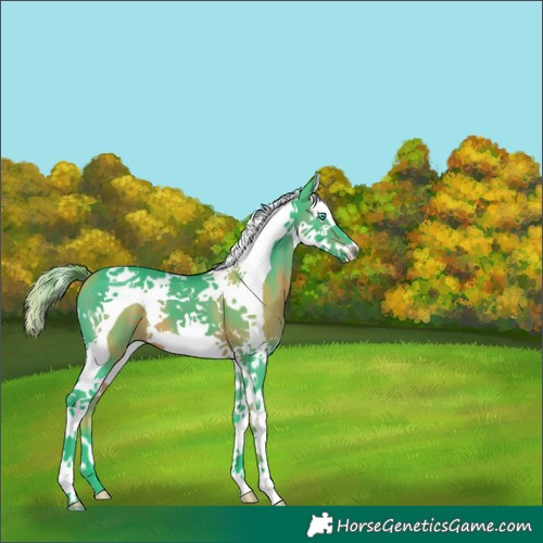 Horse Color:Watercolor Brown Splash Tobiano 