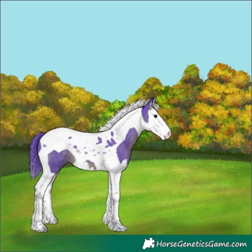 Horse Color:Watercolor Brown Splash Tobiano 