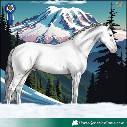 Horse Color:White Spotted Smoky Black Splash 