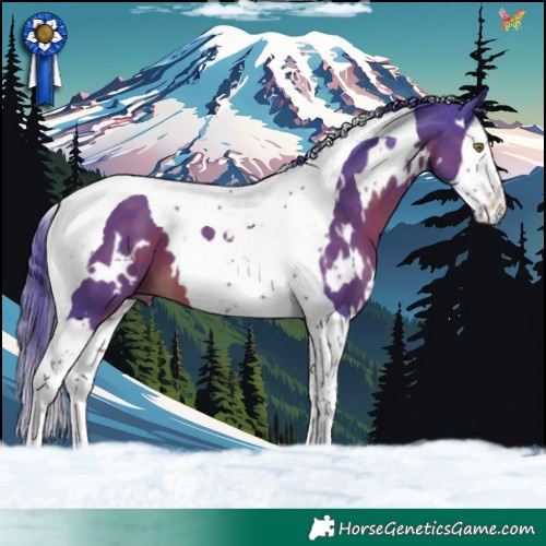 Horse Color:Watercolor White Spotted Liver Chestnut Splash Tobiano 