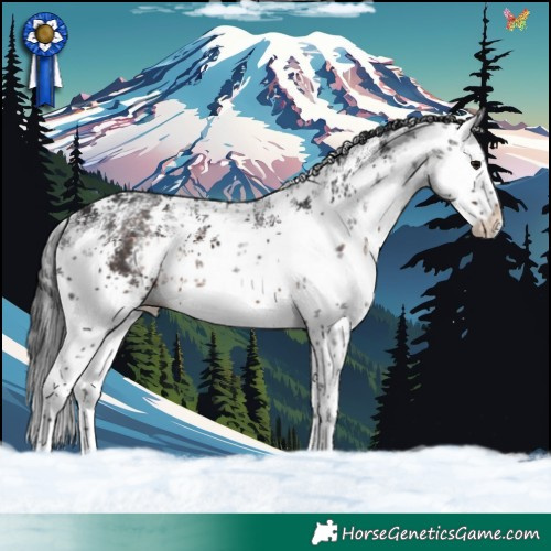 Horse Color:White Spotted Brown Sabino Splash
