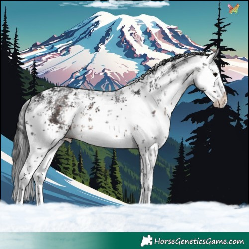 Horse Color:White Spotted Brown Sabino Splash 