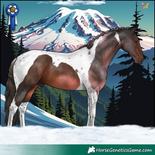 Horse Color:Liver Chestnut Tobiano 