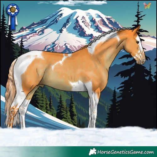Horse Color:Watercolor Liver Chestnut Splash Tobiano