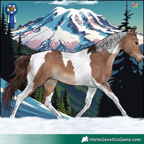 Horse Color:Chocolate Brown Dun Tobiano 
