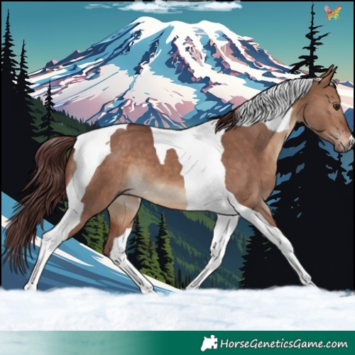 Horse Color:Chocolate Brown Dun Tobiano 