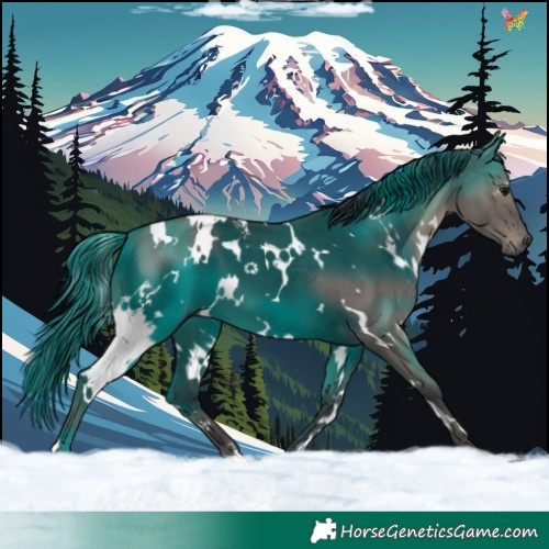 Horse Color:White Spotted Grullo Brindle 