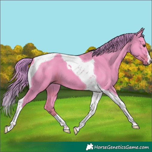 Horse Color:Watercolor Liver Chestnut Tobiano 