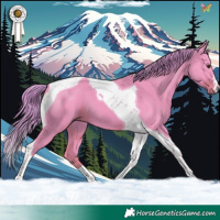 Horse Color:Watercolor Liver Chestnut Tobiano