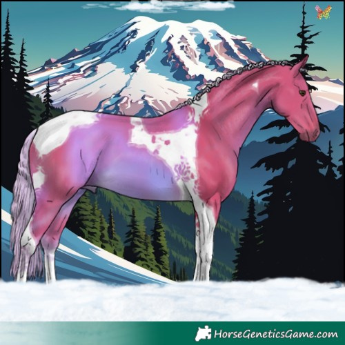 Horse Color:Watercolor Chocolate Palomino Tobiano 