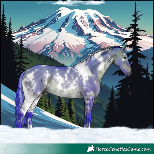 Horse Color:Watercolor White Spotted Brown Dun Rabicano