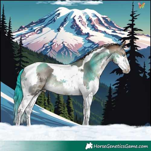 Horse Color:Bay Splash Tobiano Rabicano