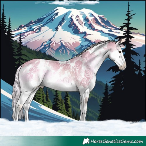 Horse Color:Watercolor White Spotted Chocolate Palomino Onyx Sabino Splash Rabicano