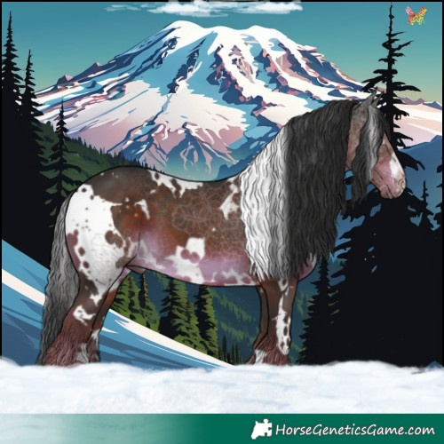 Horse Color:White Spotted Liver Chestnut 