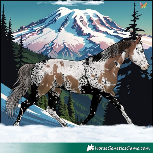 Horse Color:White Spotted Liver Red Dun Splash Tobiano 