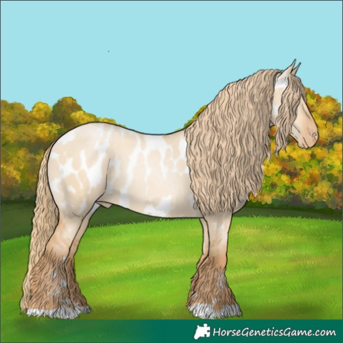 Horse Color:Red Dun Pearl Appaloosa