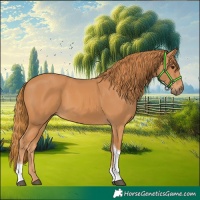 Horse Color:Chestnut Tobiano