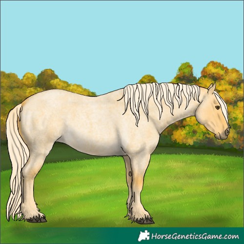 Horse Color:Palomino Roan Dun 