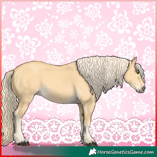Horse Color:Palomino Dun 