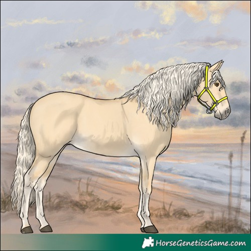 Horse Color:Palomino Dun 